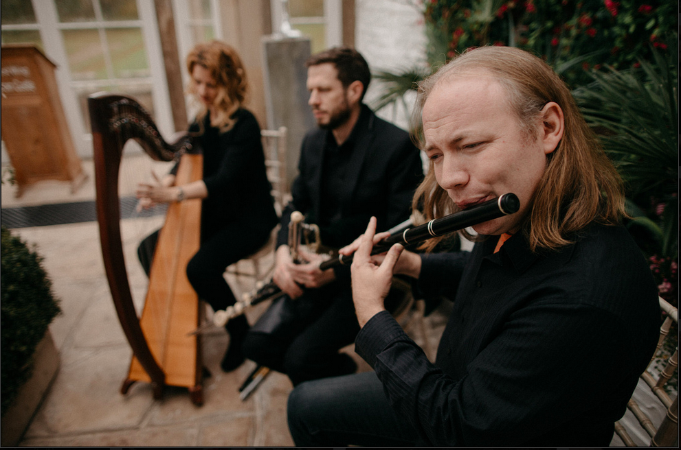 Harpist, Uilleann Pipes and Irish flute at wedding